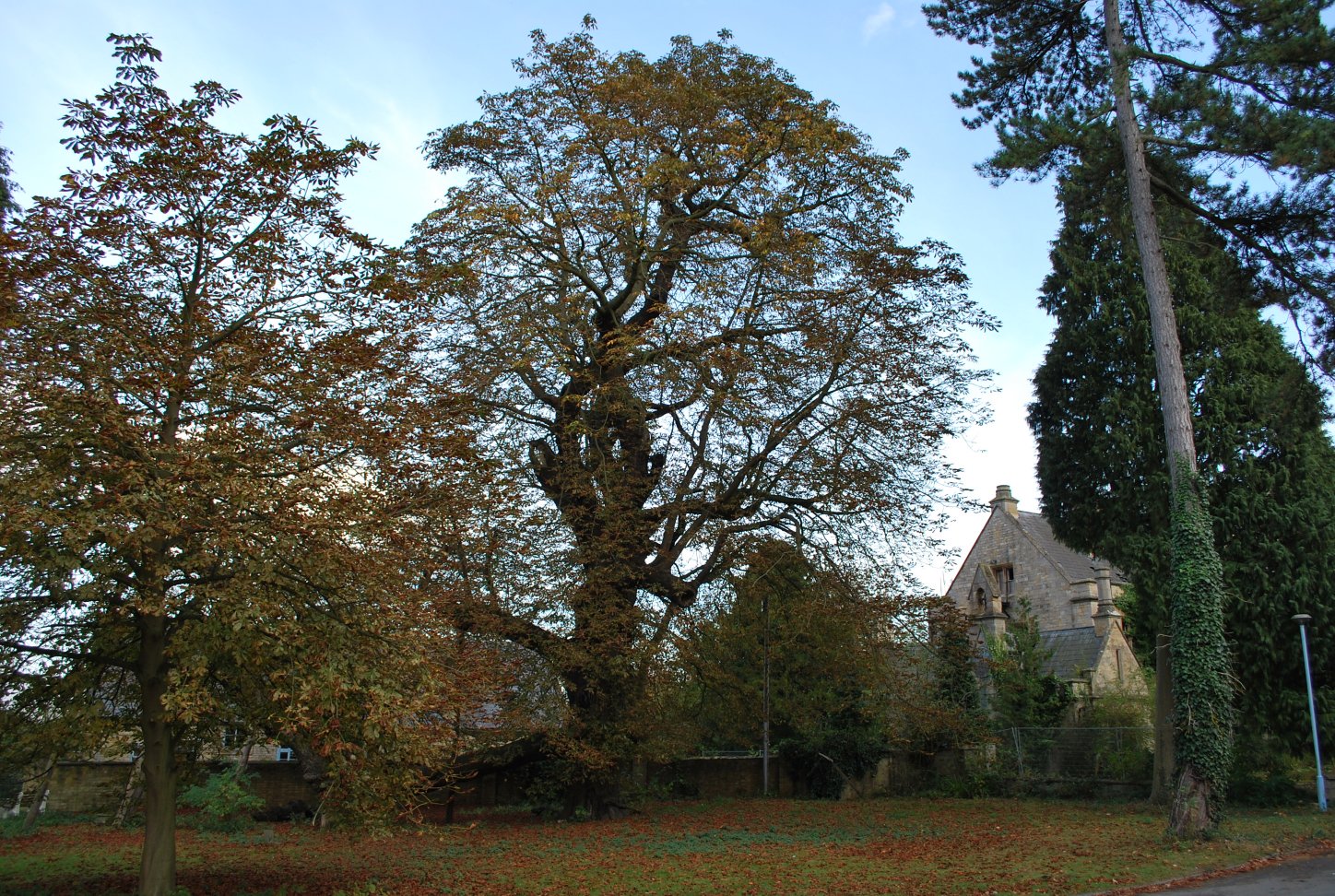RAF Nocton Hall — England